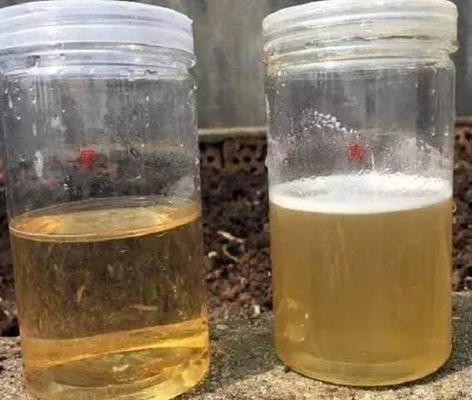 mat ong 4 ngoisaovn w519 h440