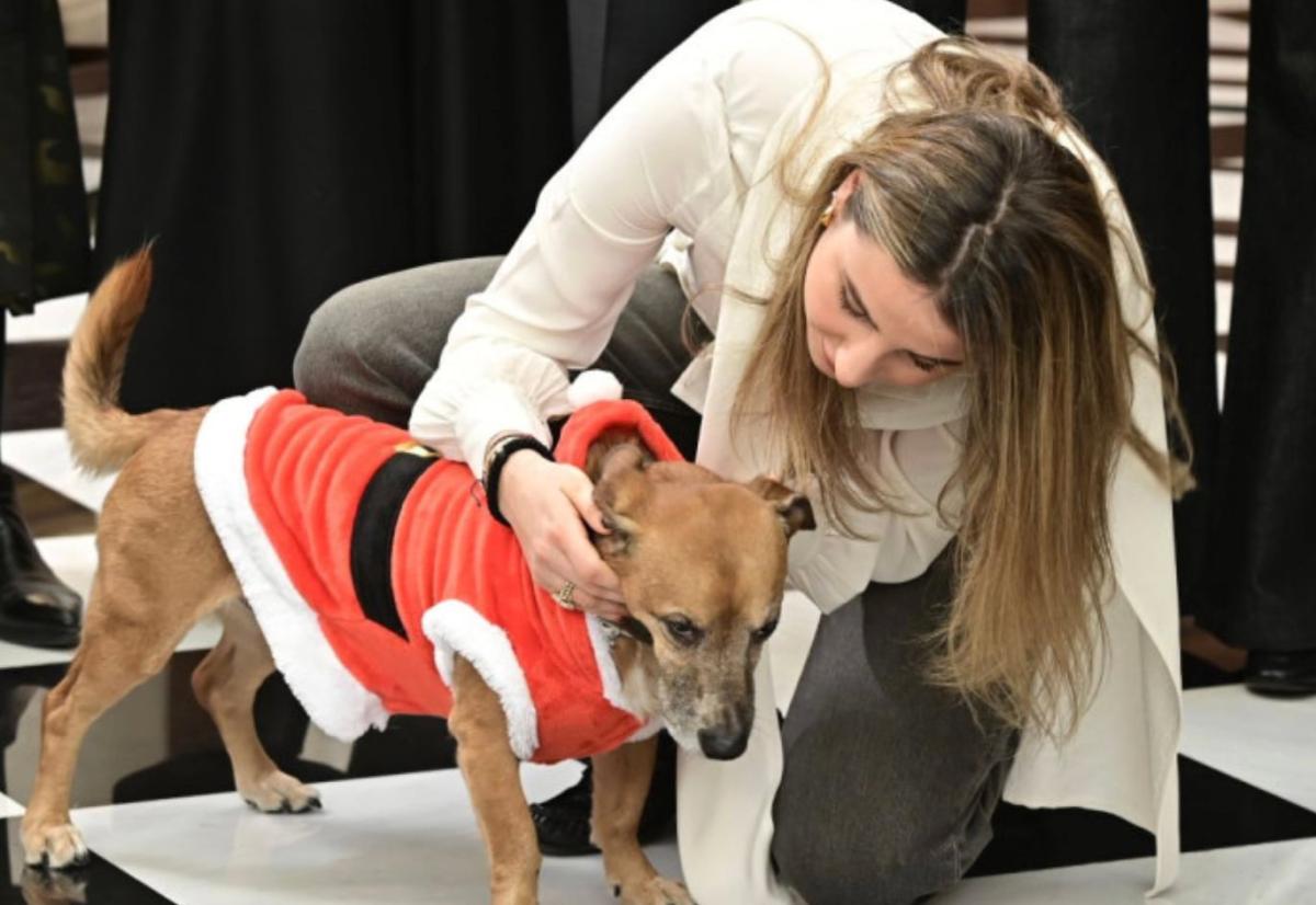 stigmiotypo othonis 2025 12 24 21.42.24