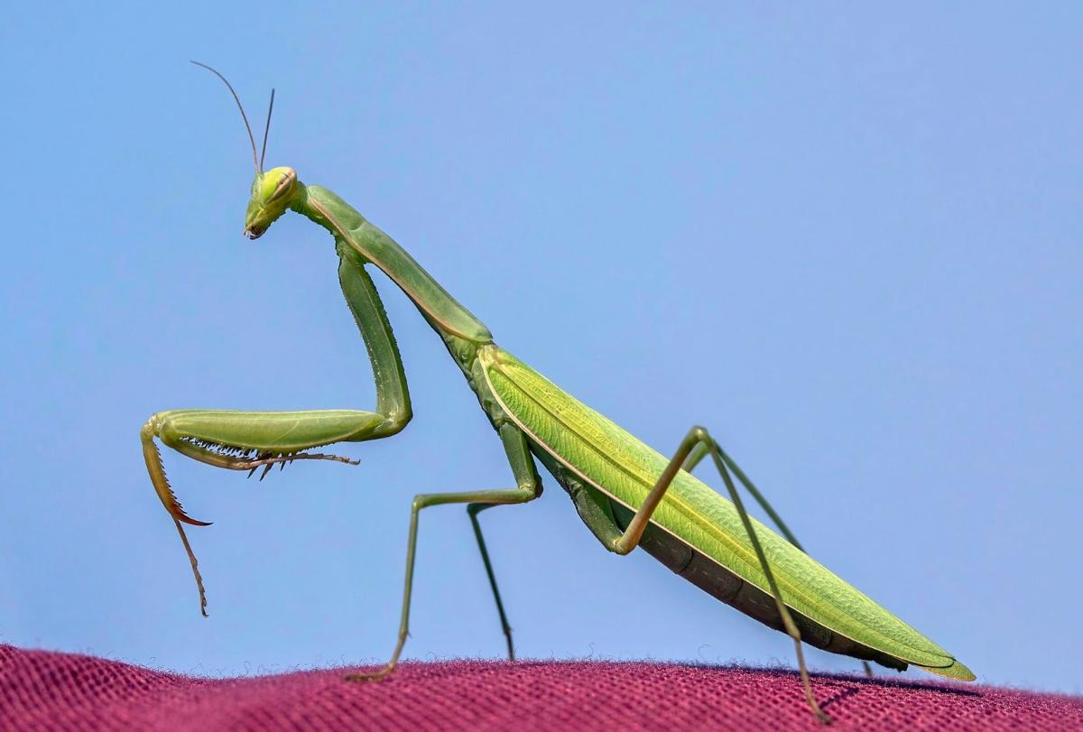 stigmiotypo othonis 2025 12 25 00.12.24