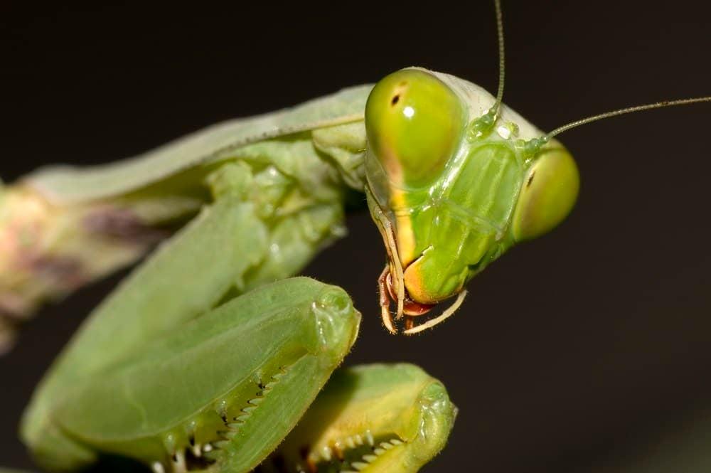 62331c17104a141ae3f19e88f081446f