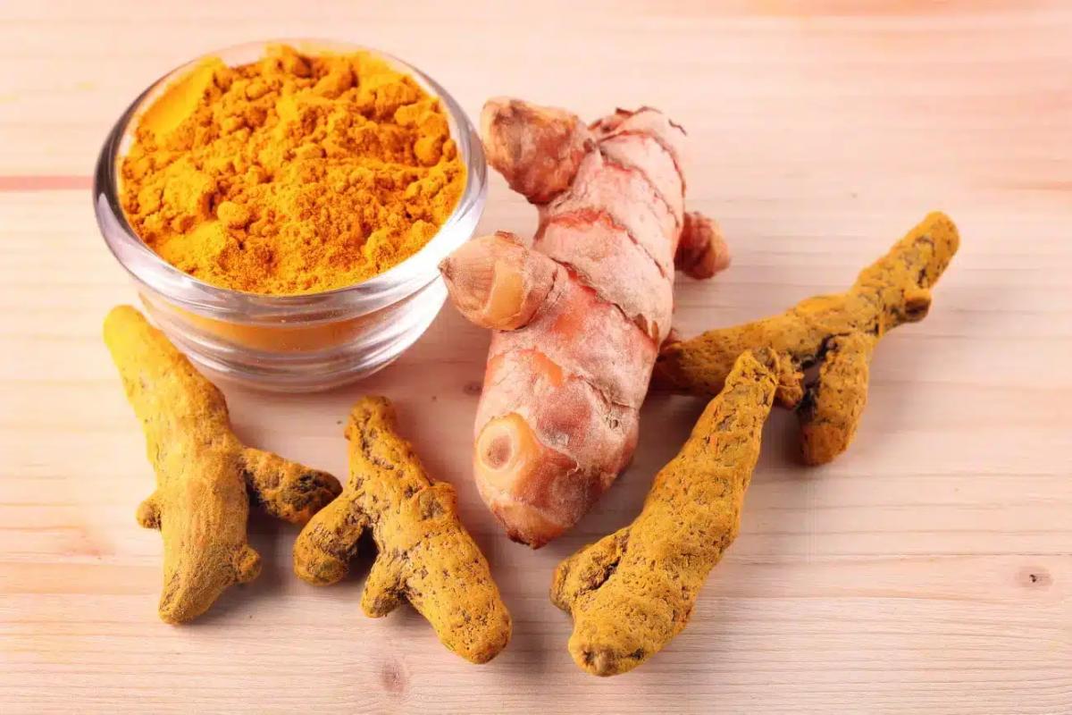 curcuma 1.jpg