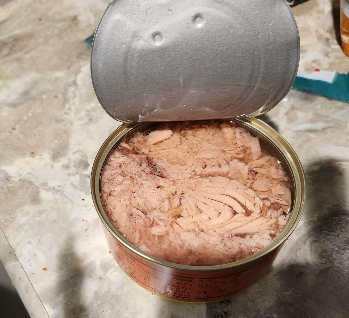 2hq5nztj3gp91 scaled