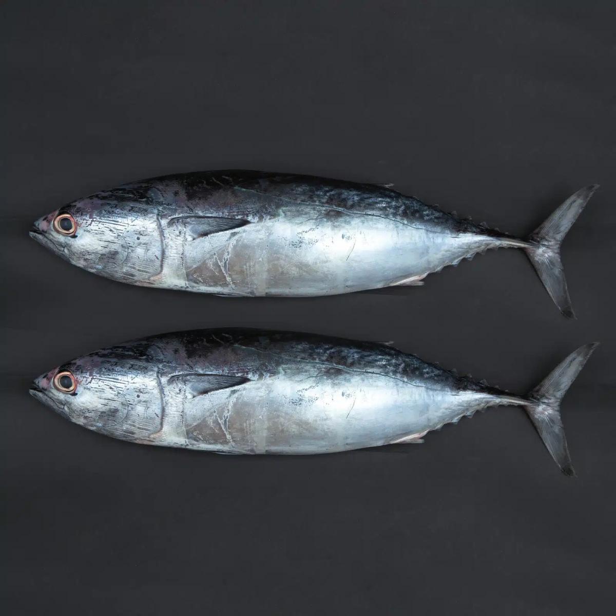 fe7e3093 d6d9 49af 9667 d7f320c7d9f7 size3840 cropcenter