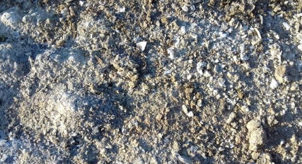 Mην πετάξεις τη στάχτη από το τζάκι δες πόσα μπορείς να κάνεις με αυτή! Δεν το ήξερα νωρίτερα 3 stigmiotypo othonis 2025 12 29 00.58.32