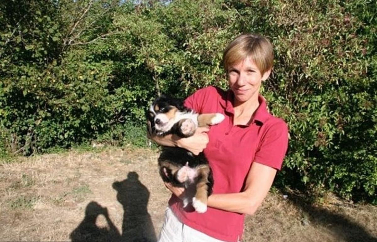 Καρχαρίας 95b3ce74