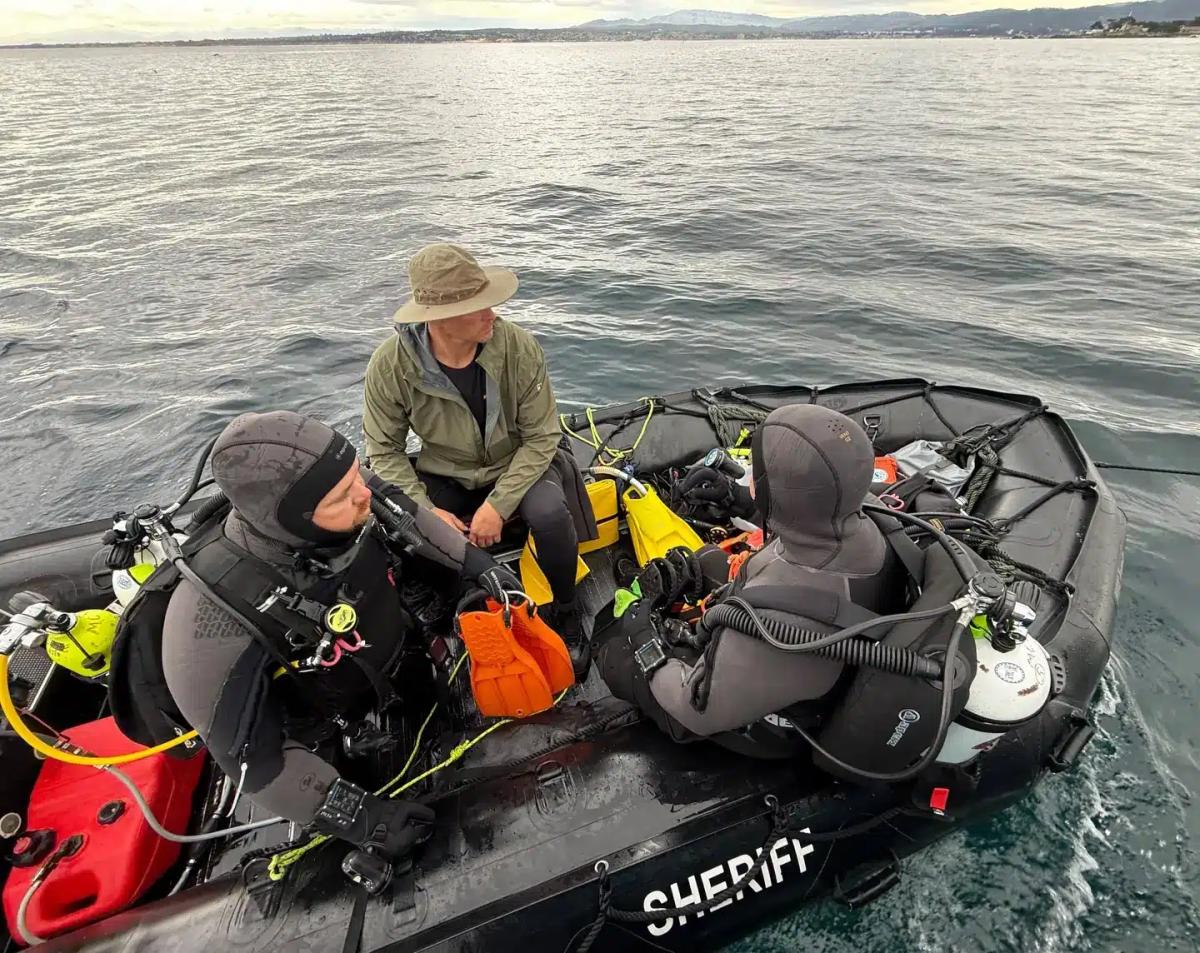 Καρχαρίας body