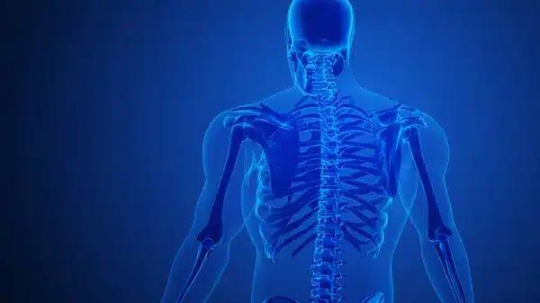 stock photo scapula bone pain blue background