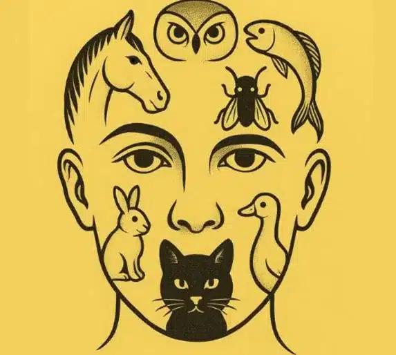 screenshot 2025 06 23 094713