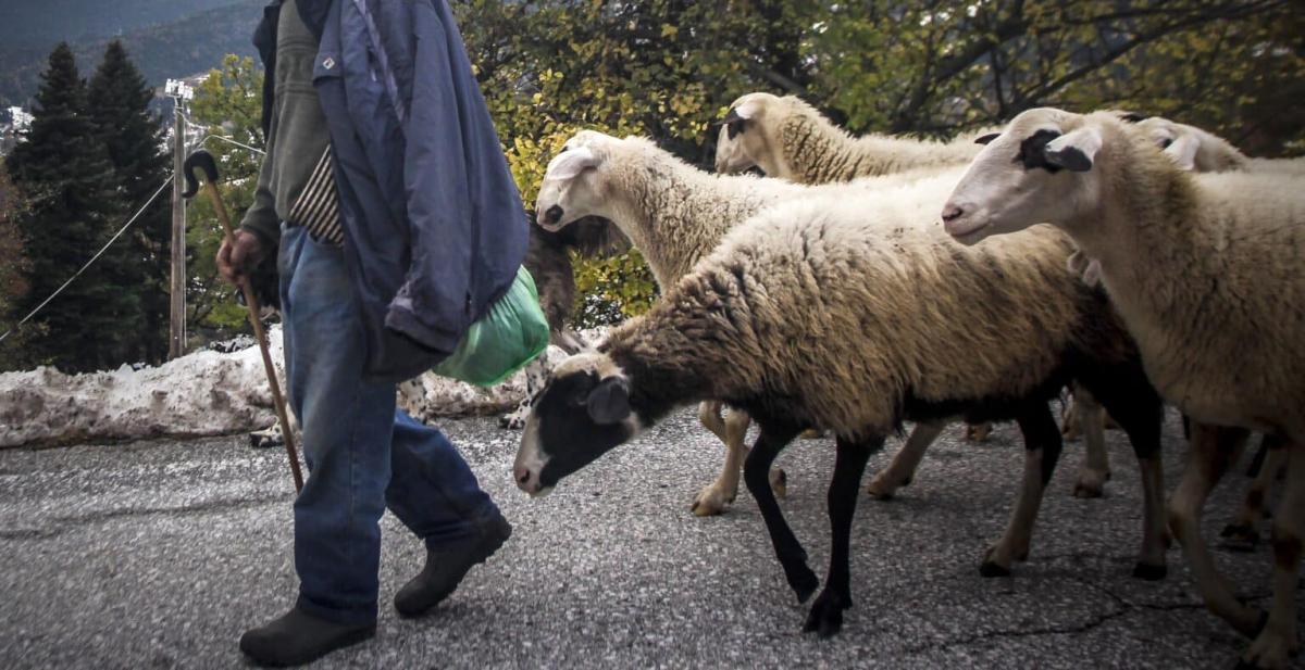 ktinotrofos 1536x790 1