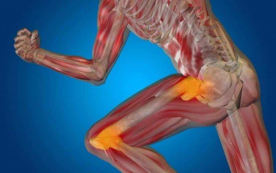 Η νούμερο 1 τροφή για γερά οστά μετά τα 50 δεν έχει καμία σχέση με γαλακτοκομικά 1