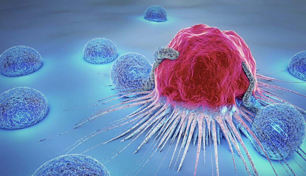 stigmiotypo othonis 2026 01 09 23.43.31