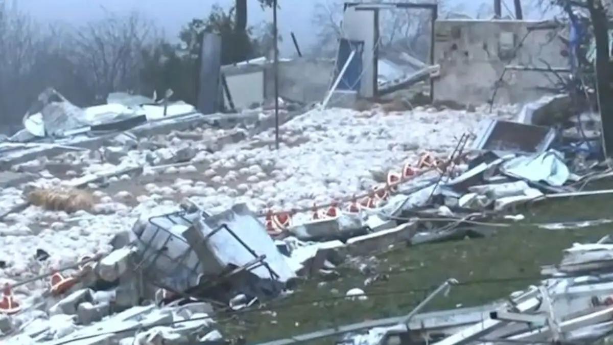 Καιρός - Ιωάννινα: «Πάθαμε απίστευτη καταστροφή» λένε οι πτηνοτρόφοι για τα 40.000 νεκρά κοτόπουλα από ανεμοστρόβιλο 1 ptinotrofeio giannena2 09012026 1200x675 1