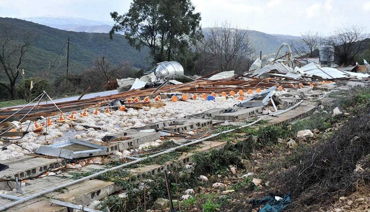 Καιρός - Ιωάννινα: «Πάθαμε απίστευτη καταστροφή» λένε οι πτηνοτρόφοι για τα 40.000 νεκρά κοτόπουλα από ανεμοστρόβιλο 2 stigmiotypo othonis 2026 01 10 01.24.48