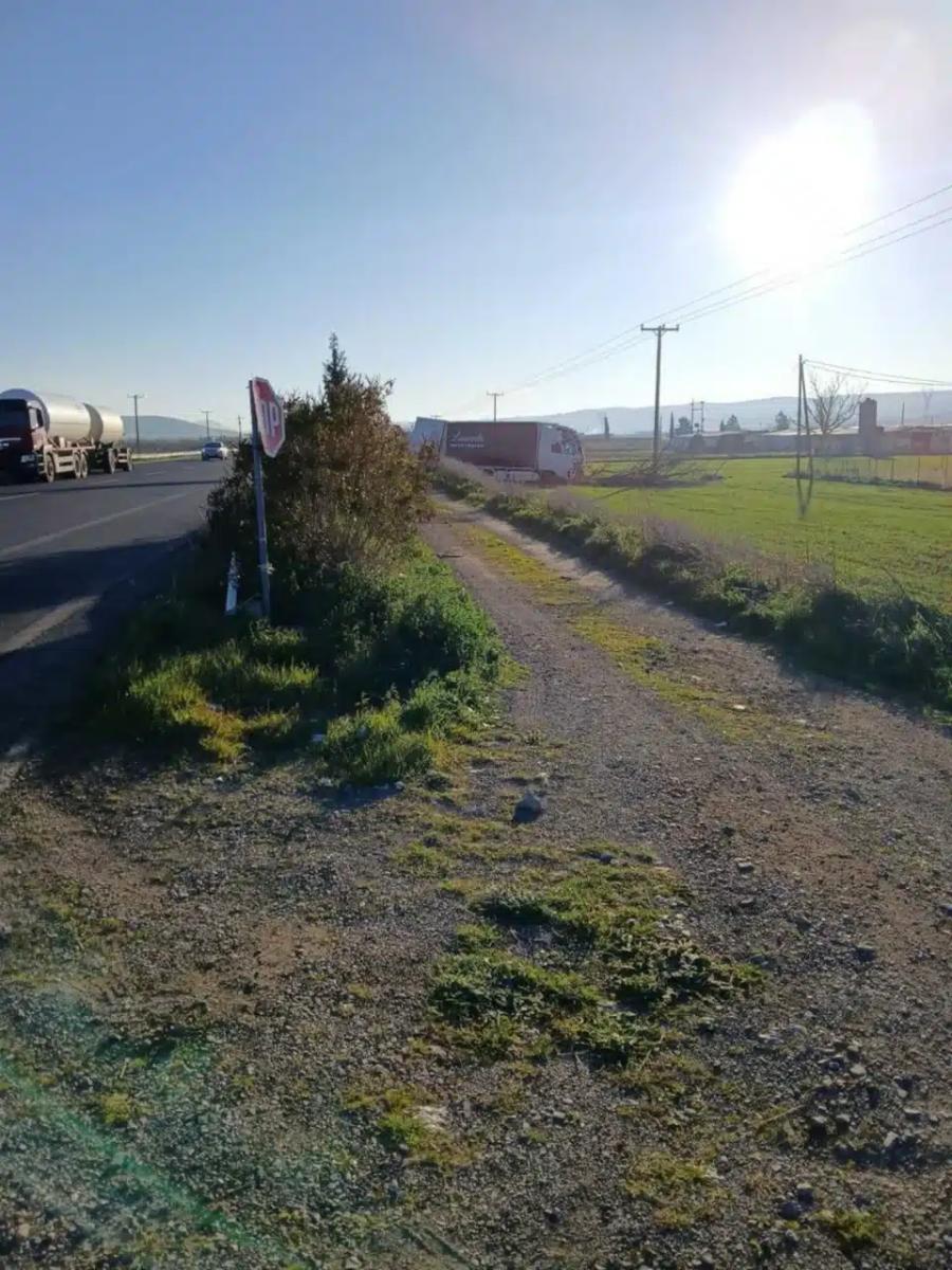 troxaio libadia1.jpg