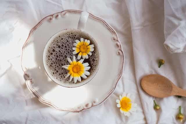 pexels helloaesthe 23913784