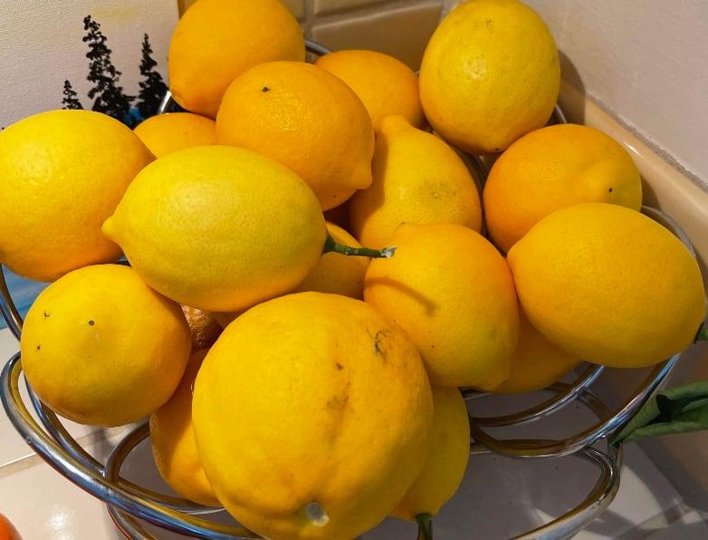 stigmiotypo othonis 2025 07 04 01.18.44