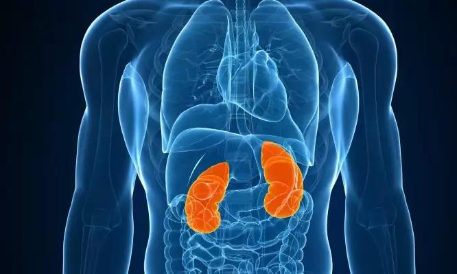 c34b8d9d7d537cc00f7c45a1fb78b4c7 666x399 1