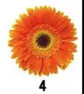 screenshot 2025 02 23 at 23.12.30