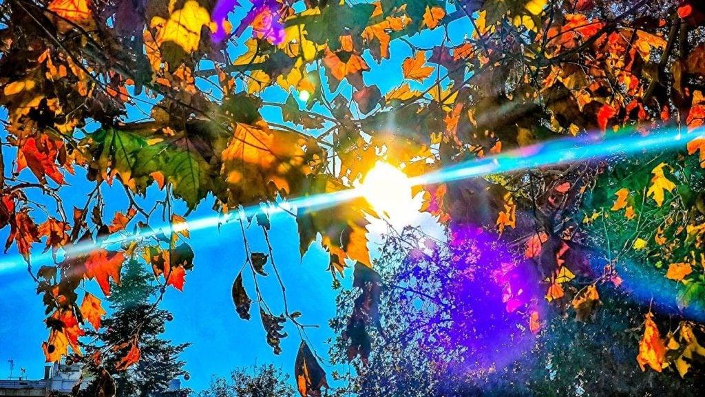 alkyonides 1 1024x577 1