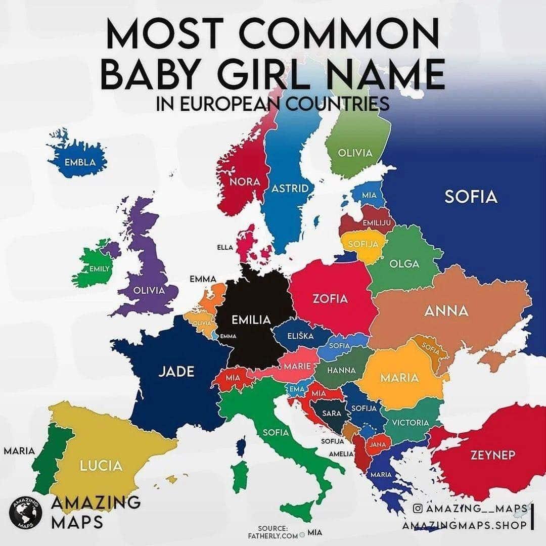 485730514 991677009811782 8655999709111721049 n