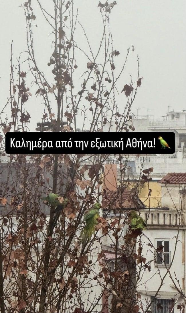 7750ee638ccd4fdd86a52a3822548c2b