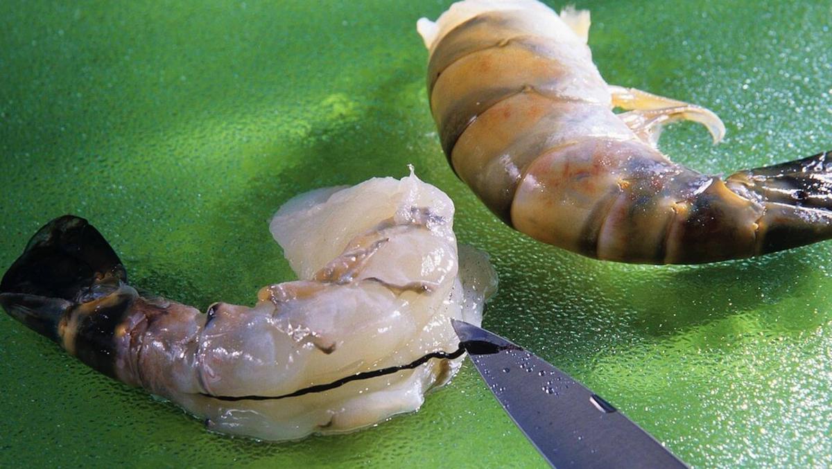 Το «φλέβα» της γαρίδας: Η λεπτομέρεια στην μαγειρική που λίγοι γνωρίζουν και πολλοί συζητούν 1 stigmiotypo othonis 2026 01 23 02.03.50