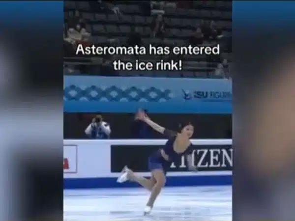 asteromata patinaz.jpg