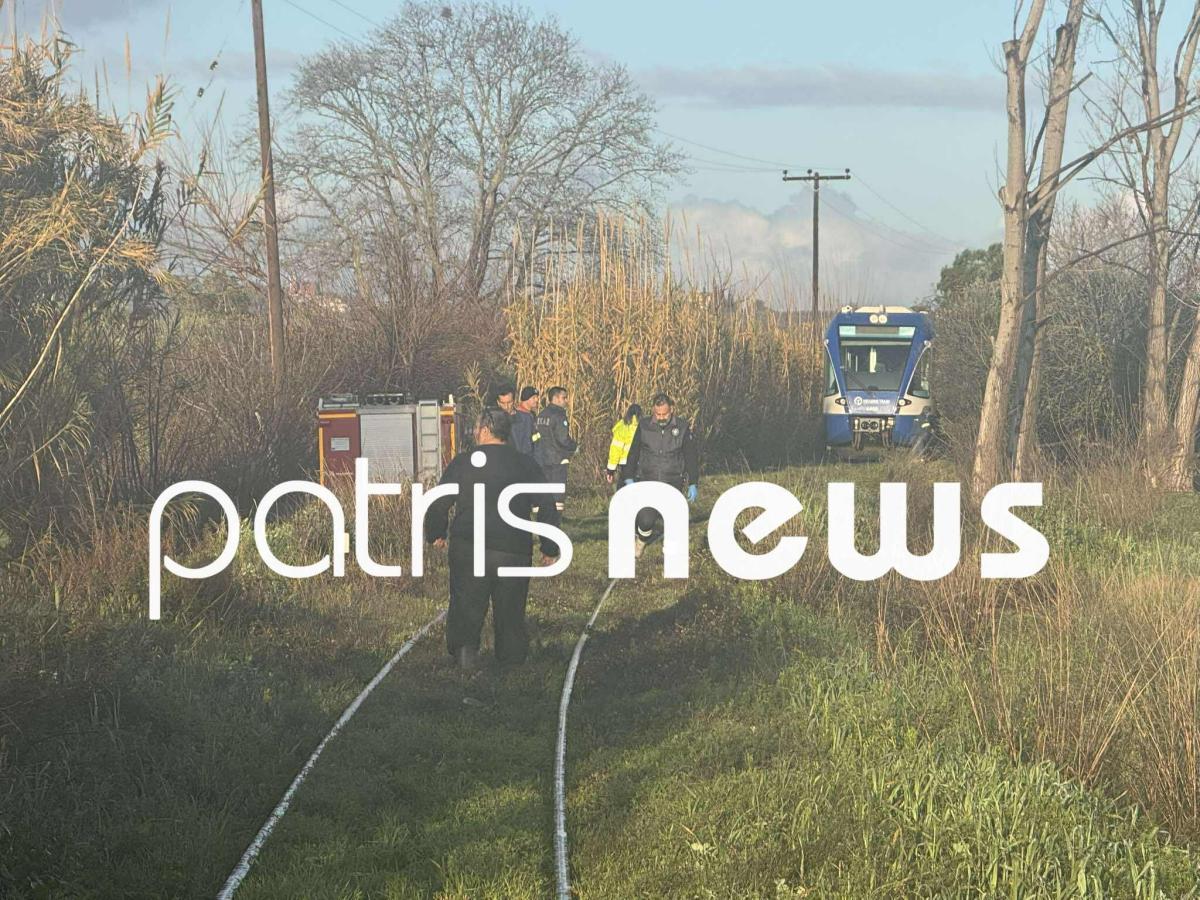 616982607 911012738076696 3435133213933084354 n