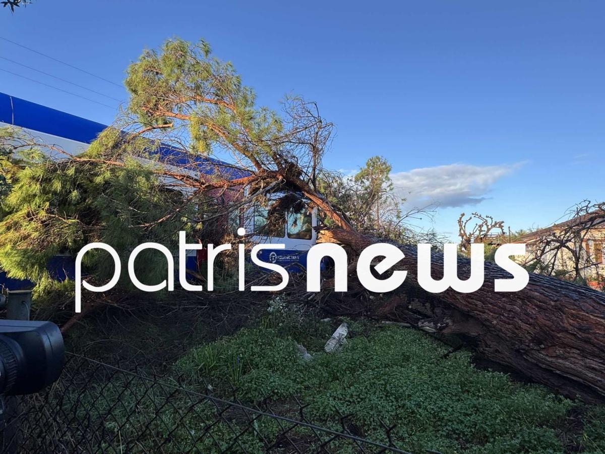 618005388 2128888247682215 9189617199515387828 n