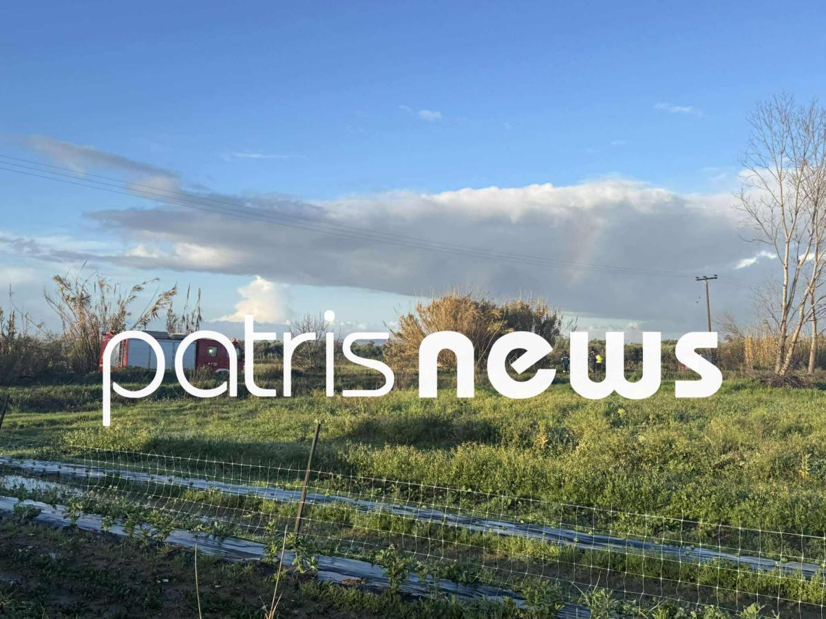 618475364 25442913418714230 1231213003304366455 n