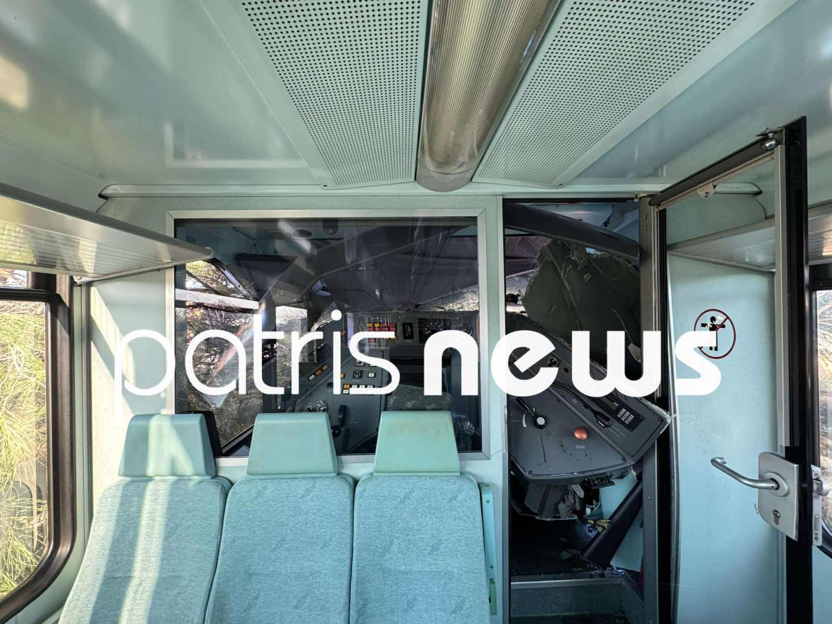 Πεύκο έπεσε πάνω σε τρένο – Στο Νοσοκομείο ο μηχανοδηγός 7 619657919 1875414546697948 6234595138867490466 n