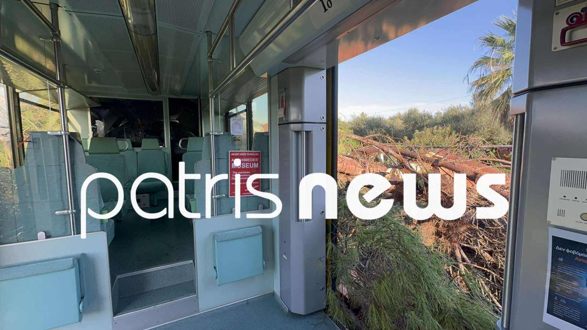 Πεύκο έπεσε πάνω σε τρένο – Στο Νοσοκομείο ο μηχανοδηγός 10 621830498 1598691427826041 2499490700486992139 n