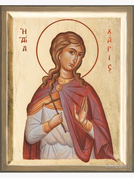 481257034 962386095983685 4047371040725512515 n