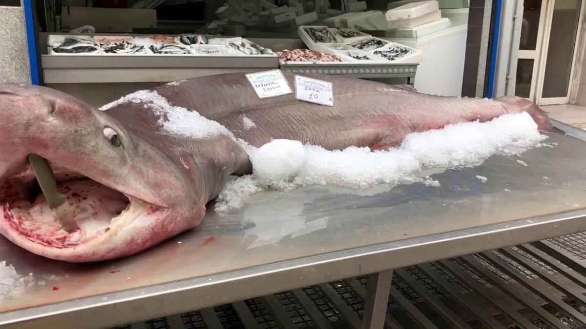 Τα ψάρια με την περισσότερη περιεκτικότητα σε υδράργυρο 4