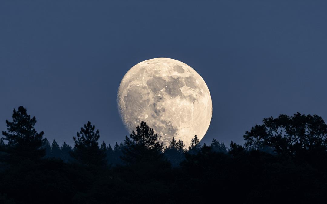 full moon over forest2 vedic astrology ayurveda scaled 1 1080x675 1