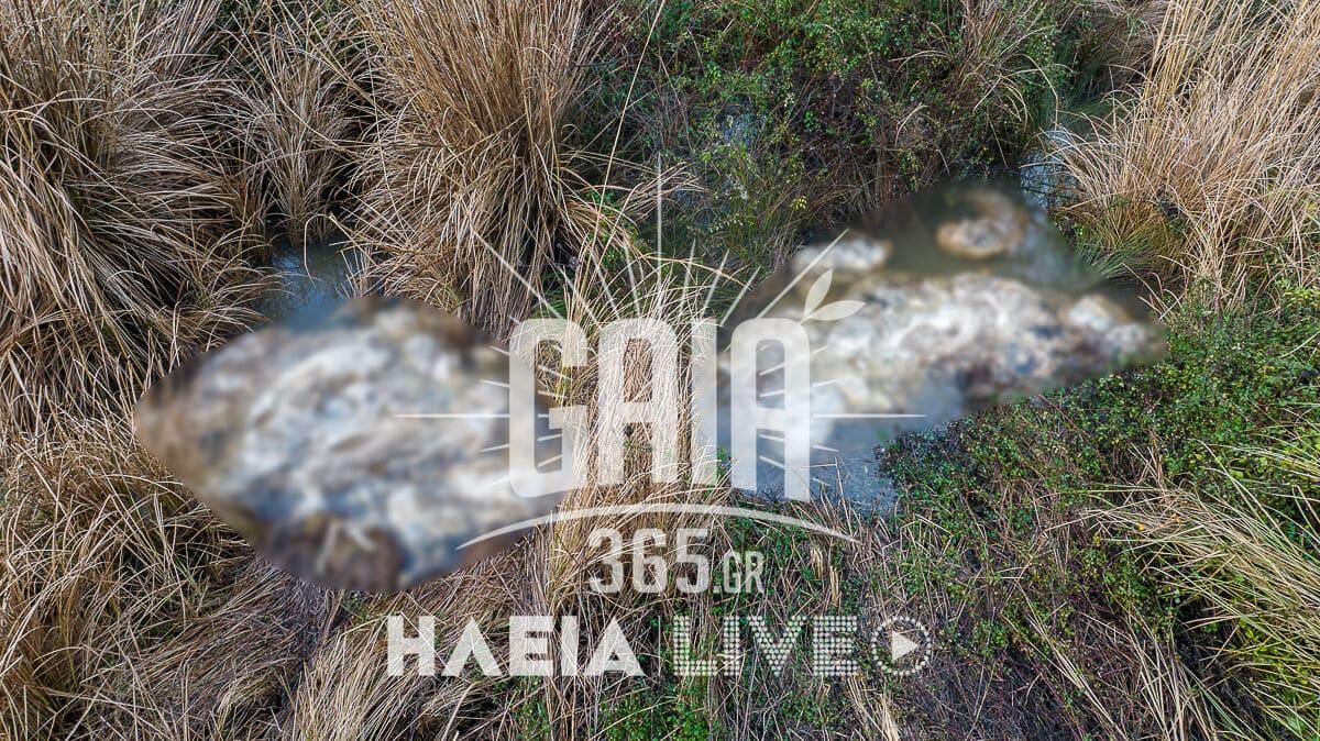 nekra provata alfeios 2