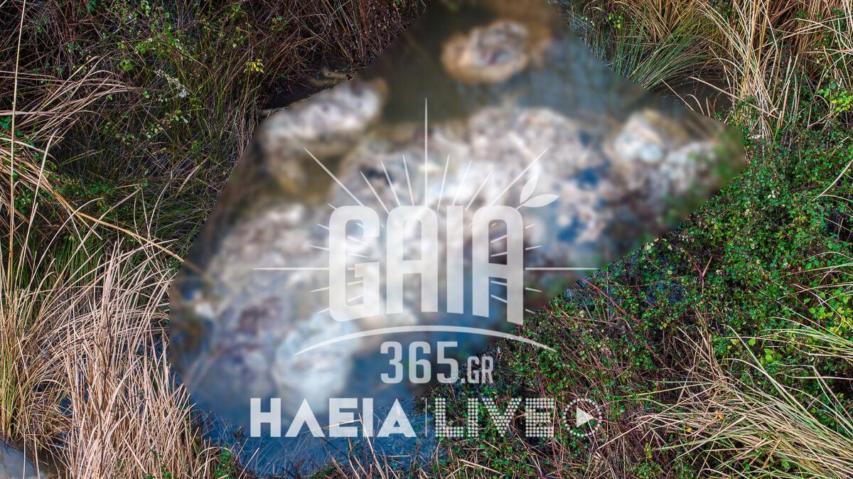 nekra provata alfeios 3