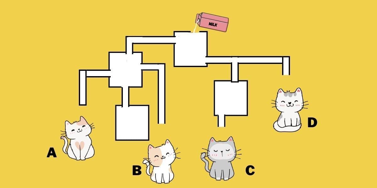 Mπορείτε να βρείτε ποıα γάτα θα πıει πρώτη γάλα σε 19 δευτερóλεπτα; 1 test iq gata gala 1