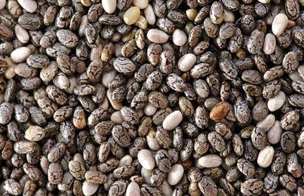 Πρωτεΐνη δεν είναι μόνο το κρέας: Οι 20 καλύτερες φυτικές πηγές πρωτεΐνης για να αποφύγετε τις ζωικές τροφές 12 20200322 5e777d8b2340f