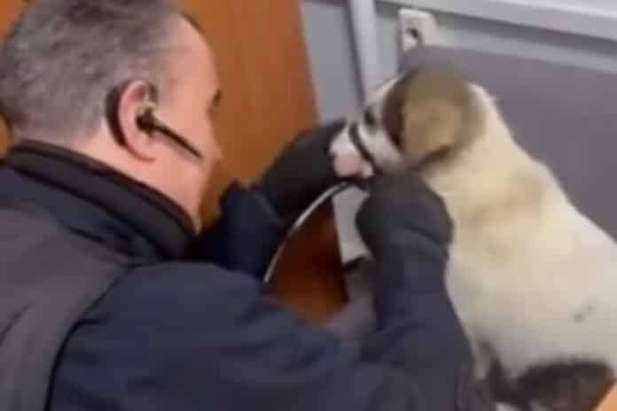 menidi astinomikos koutavi 31 1 696x464 1