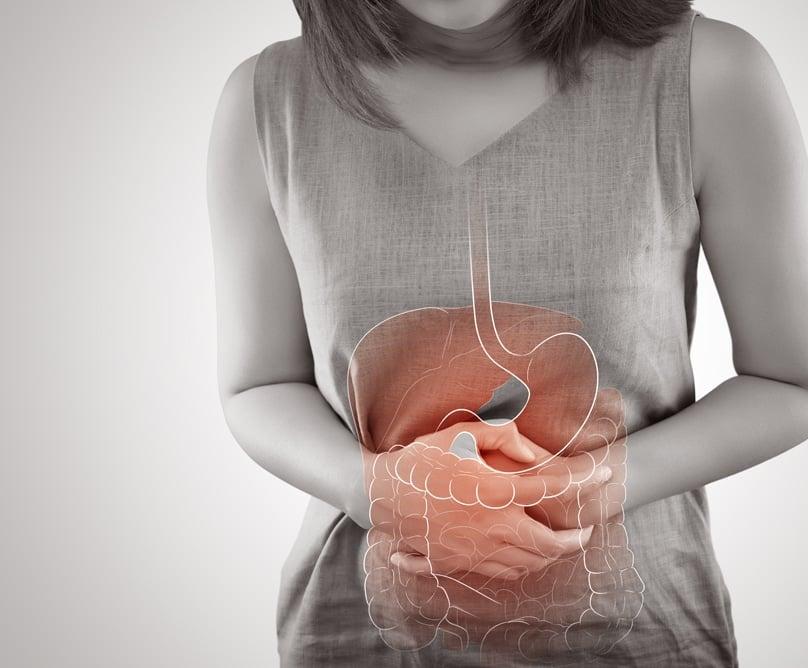 blog karkinos leptou enterou b