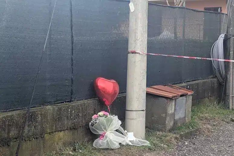 63c69a86afcf856506317365d7ba7d6b