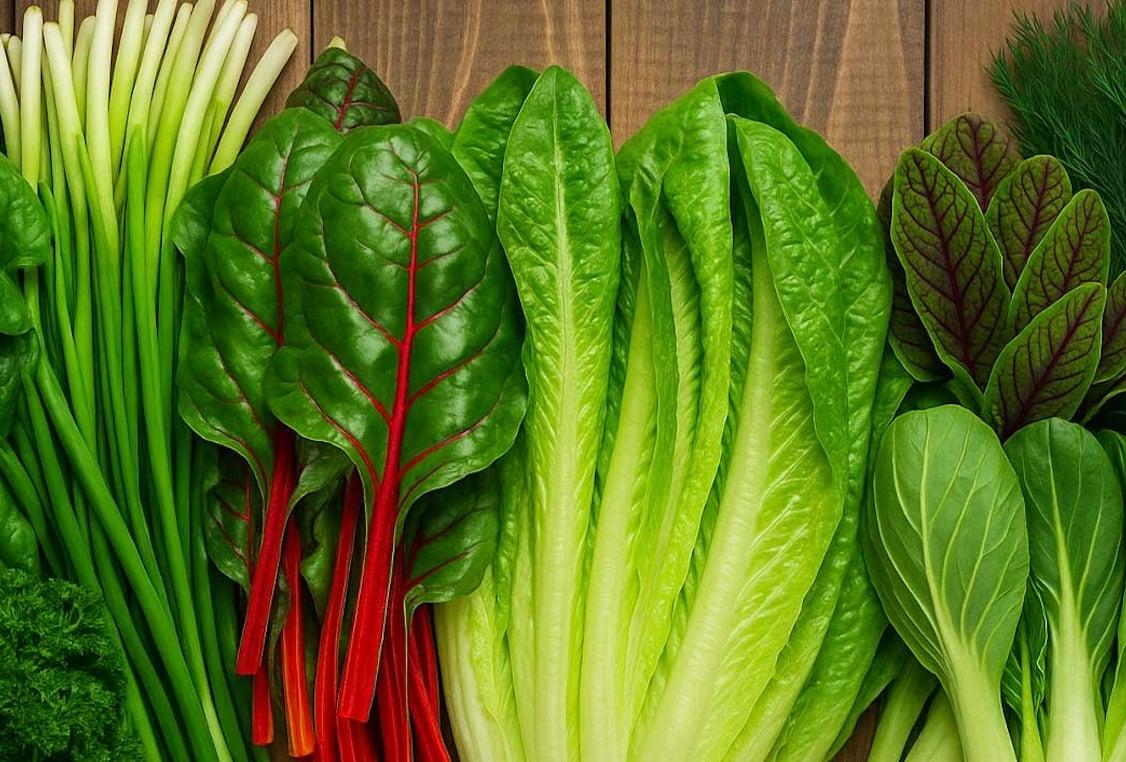 stigmiotypo othonis 2025 06 23 16.18.57