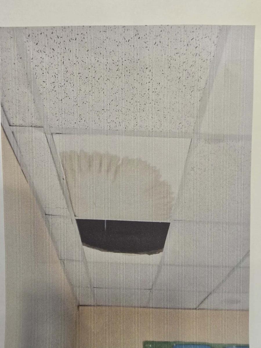 photo 2026 02 08 17 00 04