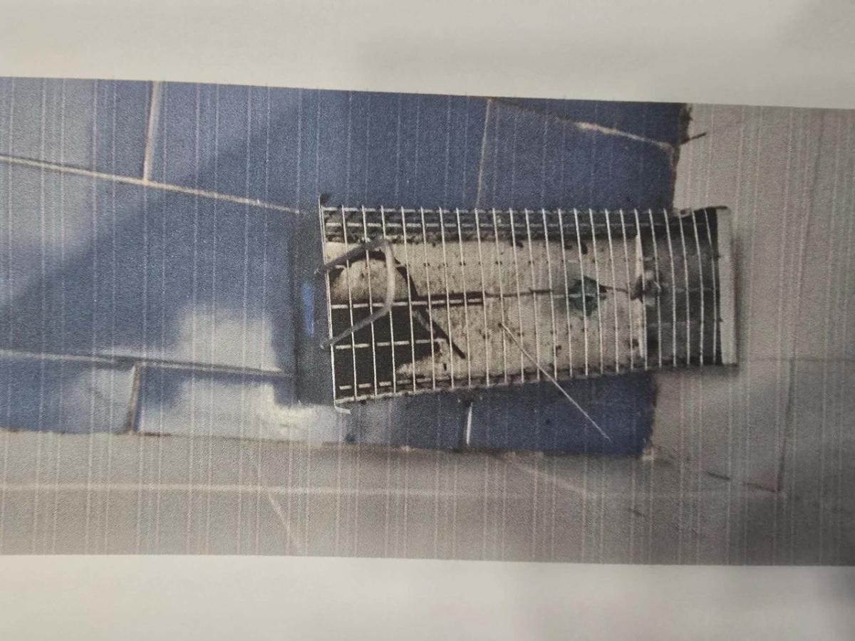 photo 2026 02 08 17 00 29