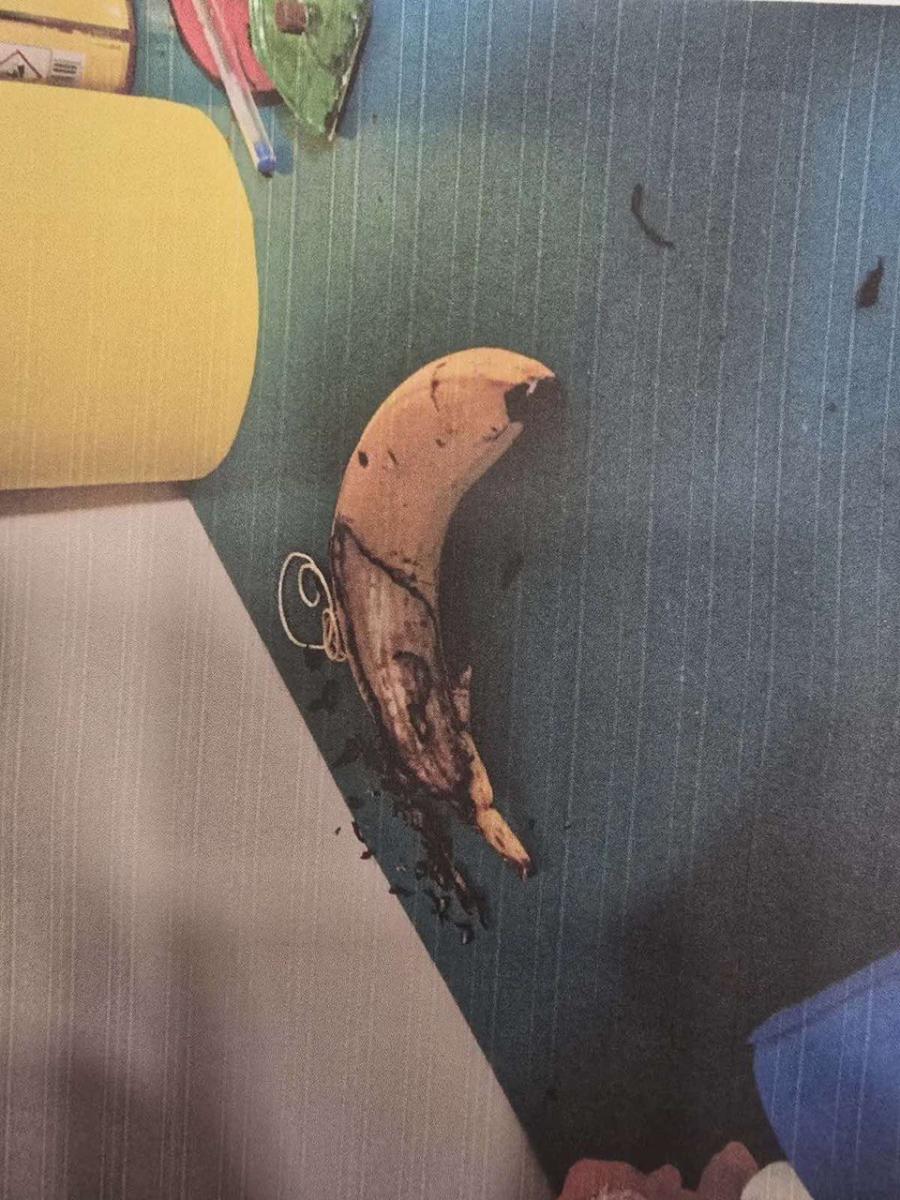 photo 2026 02 08 17 00 34