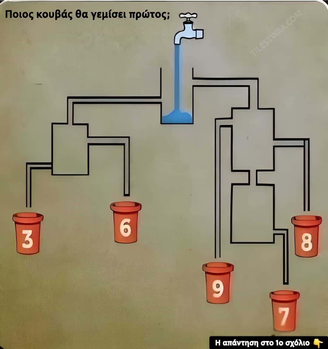 490474652 1064299845743323 3133801685031149362 n