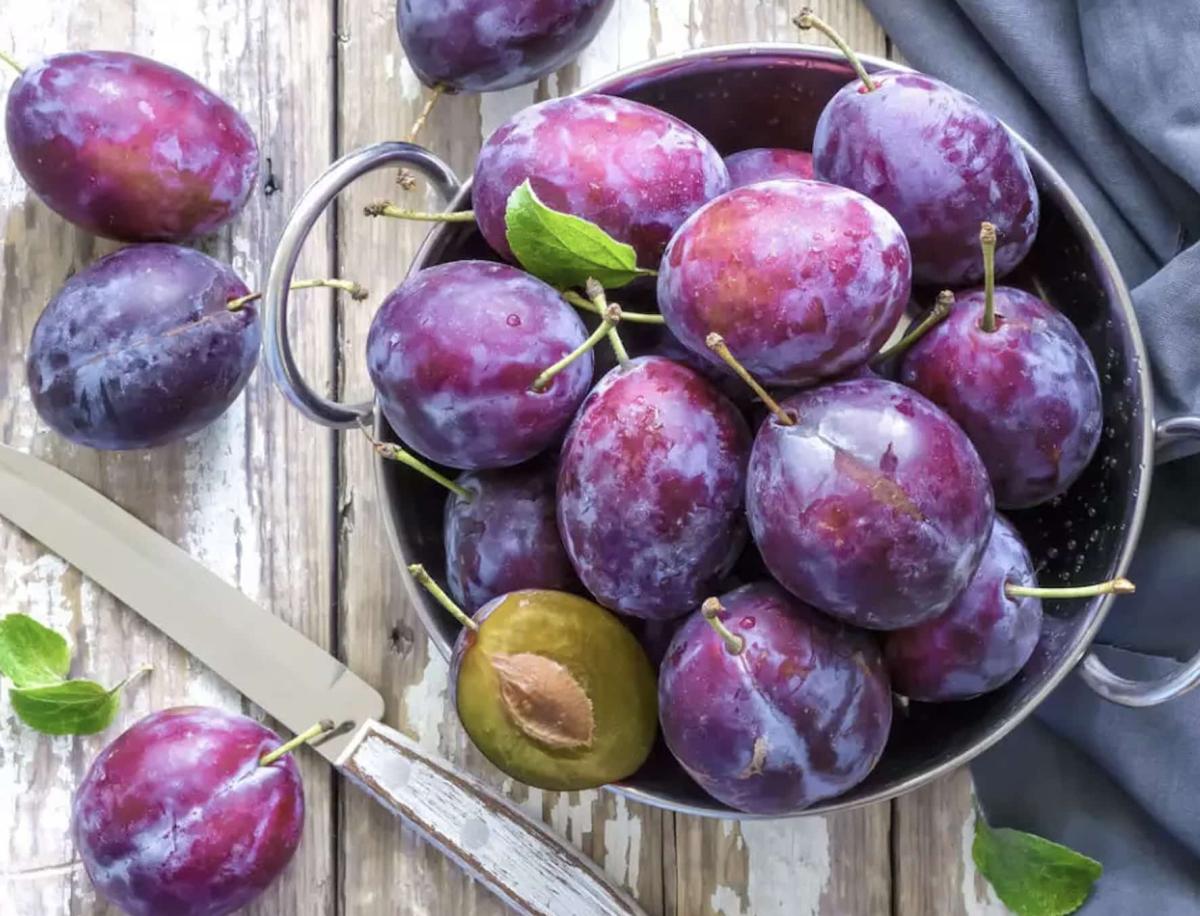 stigmiotypo othonis 2025 05 06 00.11.43