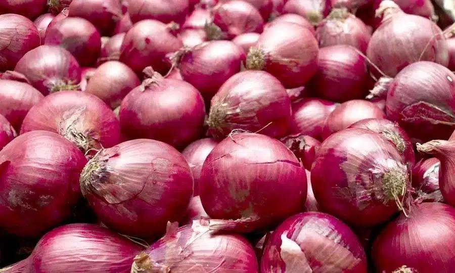 jesmond fruit barn red onions