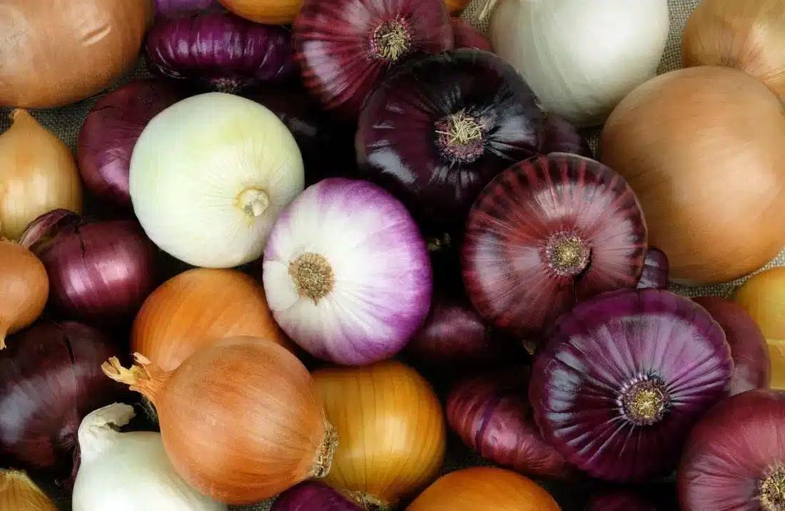 red and white onions